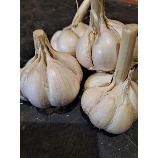 

BAWANG KATING 250gr-5kg
