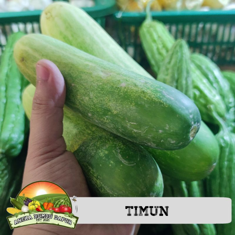 

timun 500gram