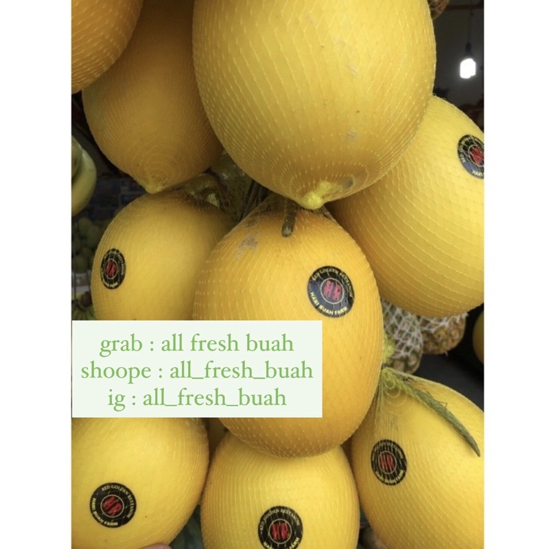 

Melon golden 38.000rb perbuah