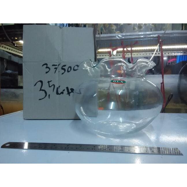 Murah Aquarium Bulat Toples 3 5 Liter Shopee Indonesia