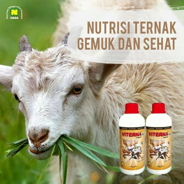 Paket Nutrisi Ternak Sapi Kambing Dan Ayam Shopee Indonesia