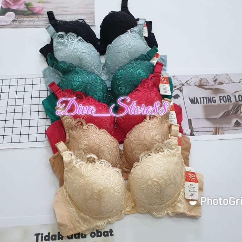 Push Up Bra Elena 24481A Original | Bh Push Up Brokat Busa Extra Tebal Sayap Lebar Kait3 (ART. 5)