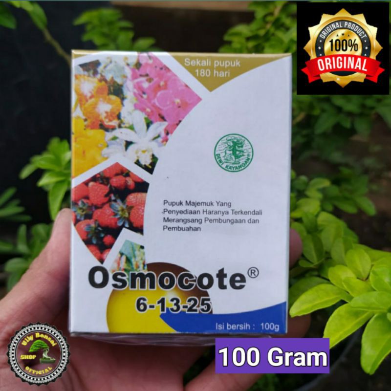 PUPUK BUNGA DAN BUAH DEKASTAR 6-13-25 (OSMOCOTE) 100 Gram