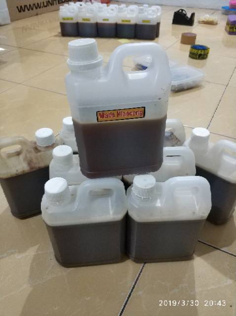 

2Xbtygneal Sakha Snack ) 1Kg Madu Klanceng Kelulut Teuweul Trigona Kele Dijamin Asli Dan Murni