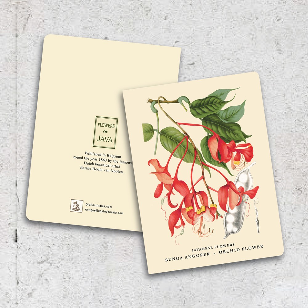 Orchid Flower - Bunga Anggrek Thin Book