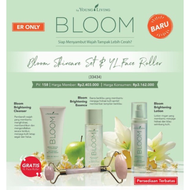 Bloom YL