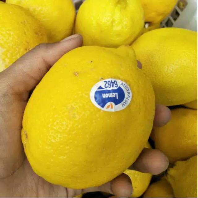 

Buah segar - Lemon