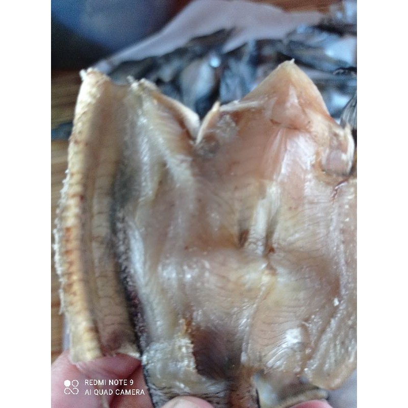 

ikan kering gabus