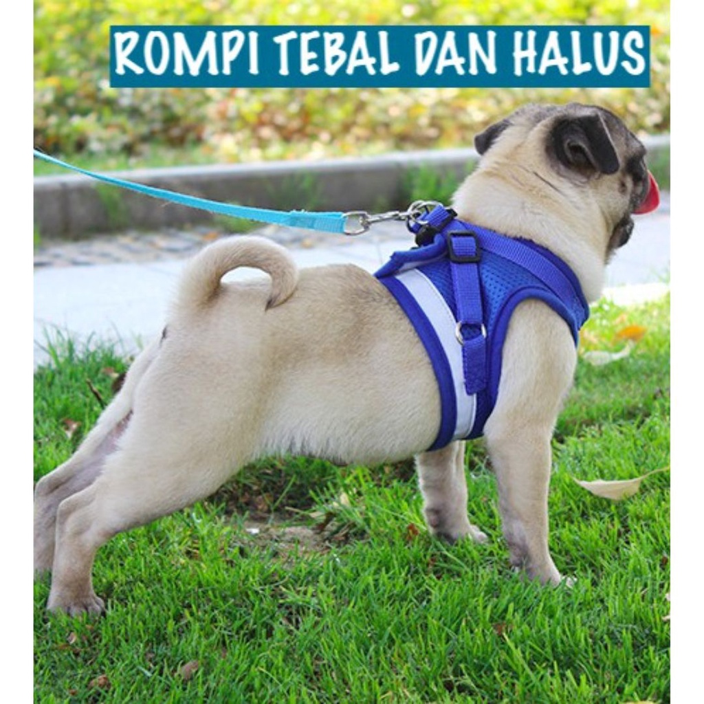 Harness Anjing Tali Tuntun Kucing Hewan Full Body Rompi Medium Leash Breathable FEZONE
