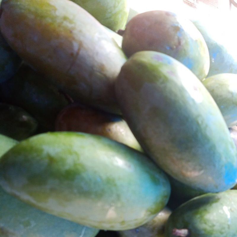 

Buah mangga Thailand Lokmay