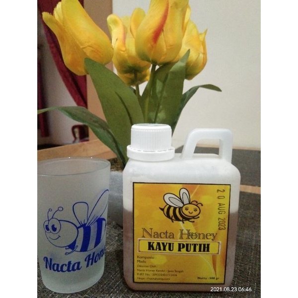 

madu kayu putih Nacta Honey