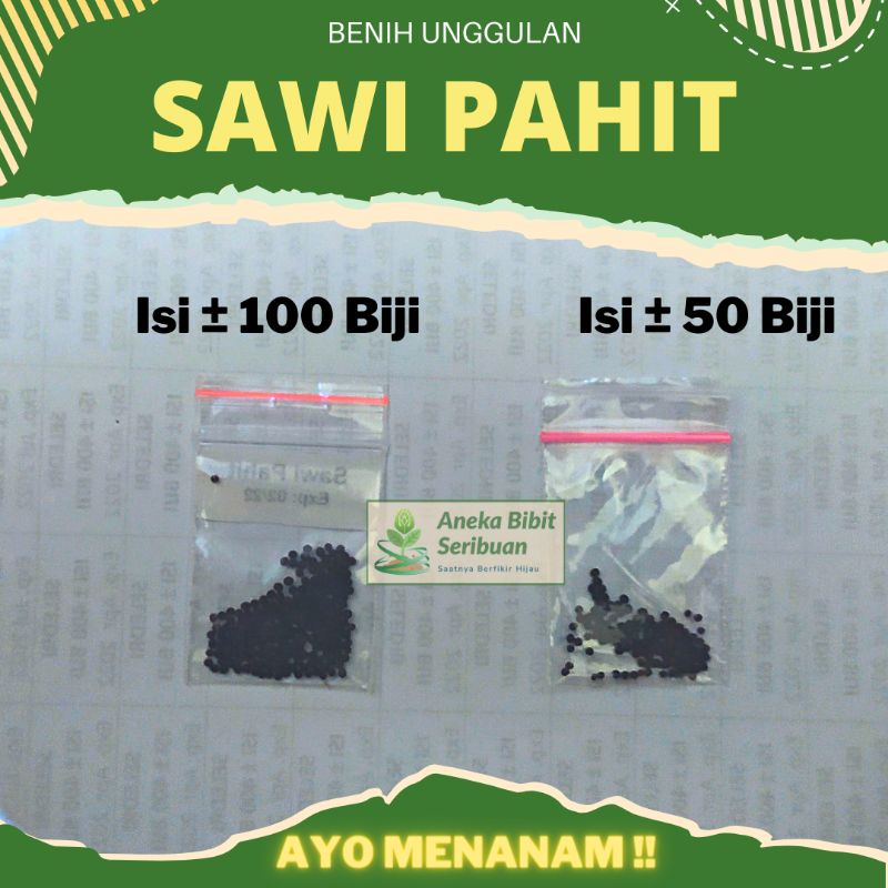 100 benih sawi pahit , bibit sawi pahit Majapahit