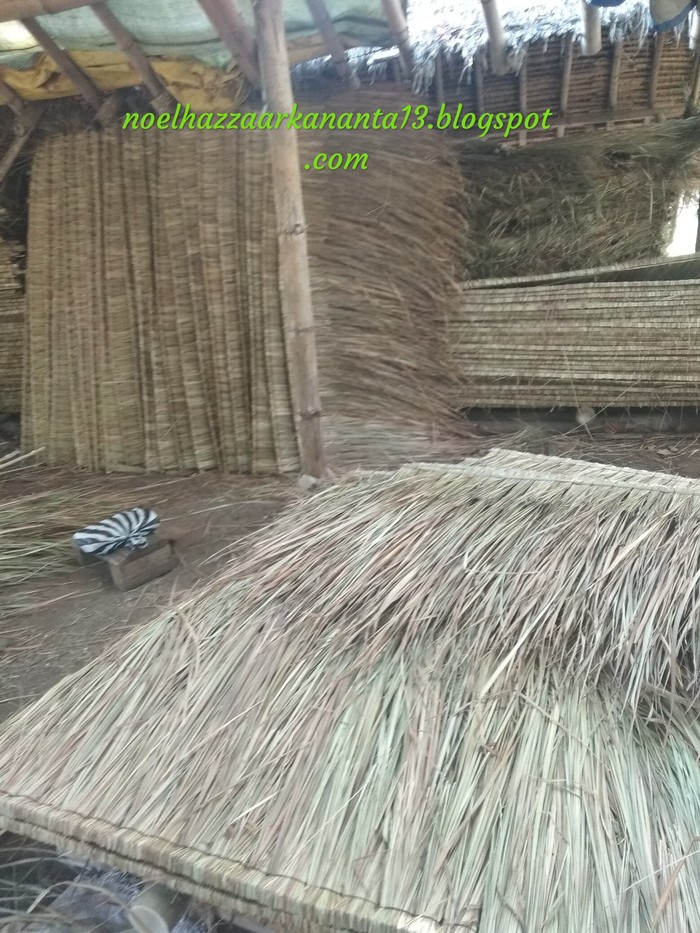 atap ilalang pandaan