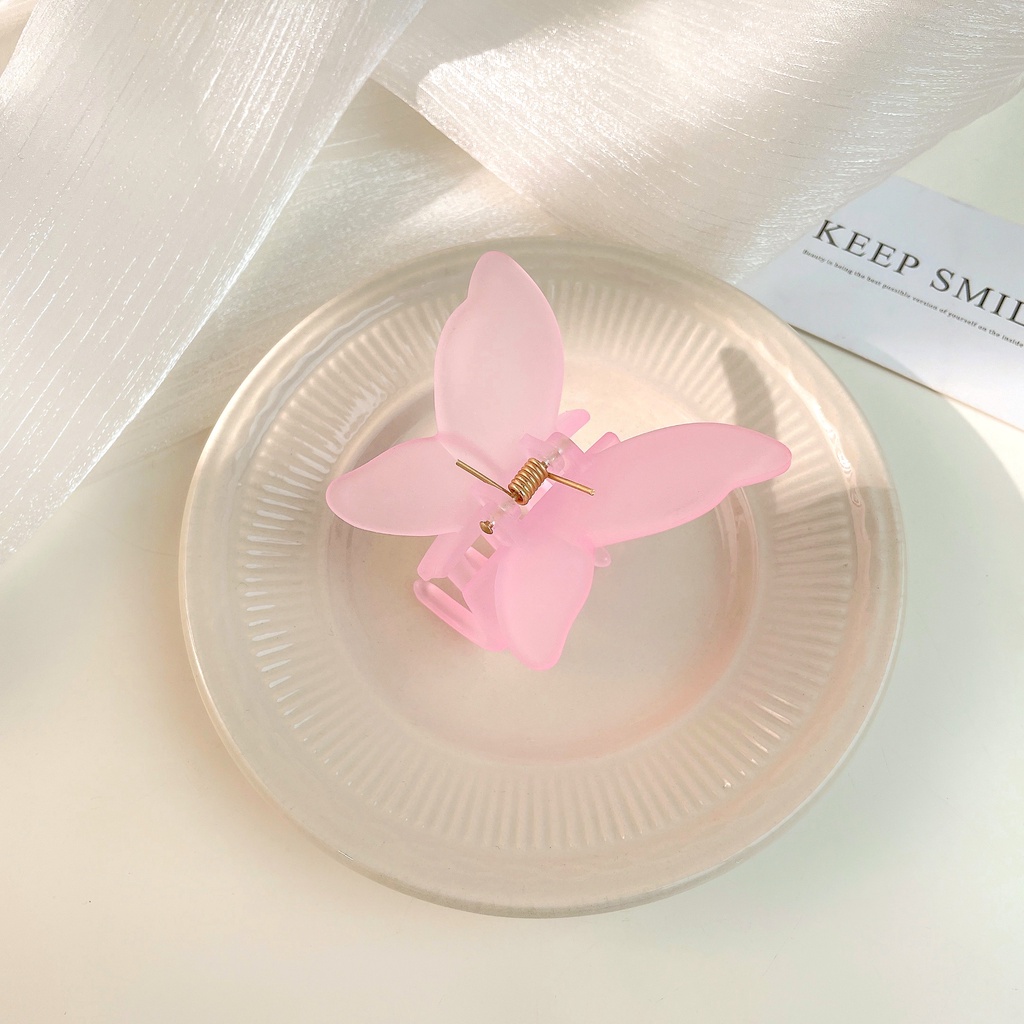 2022 Jepit Rambut Bentuk Kupu-Kupu Jelly Frosted Gaya Korea Untuk Wanita