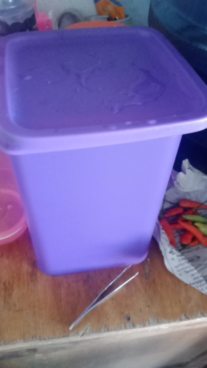 Tall Summer Fresh (1 Pcs)  Toples Tupwr