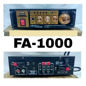 Amplifier Karaoke Mini FA 1000 ampli mini
