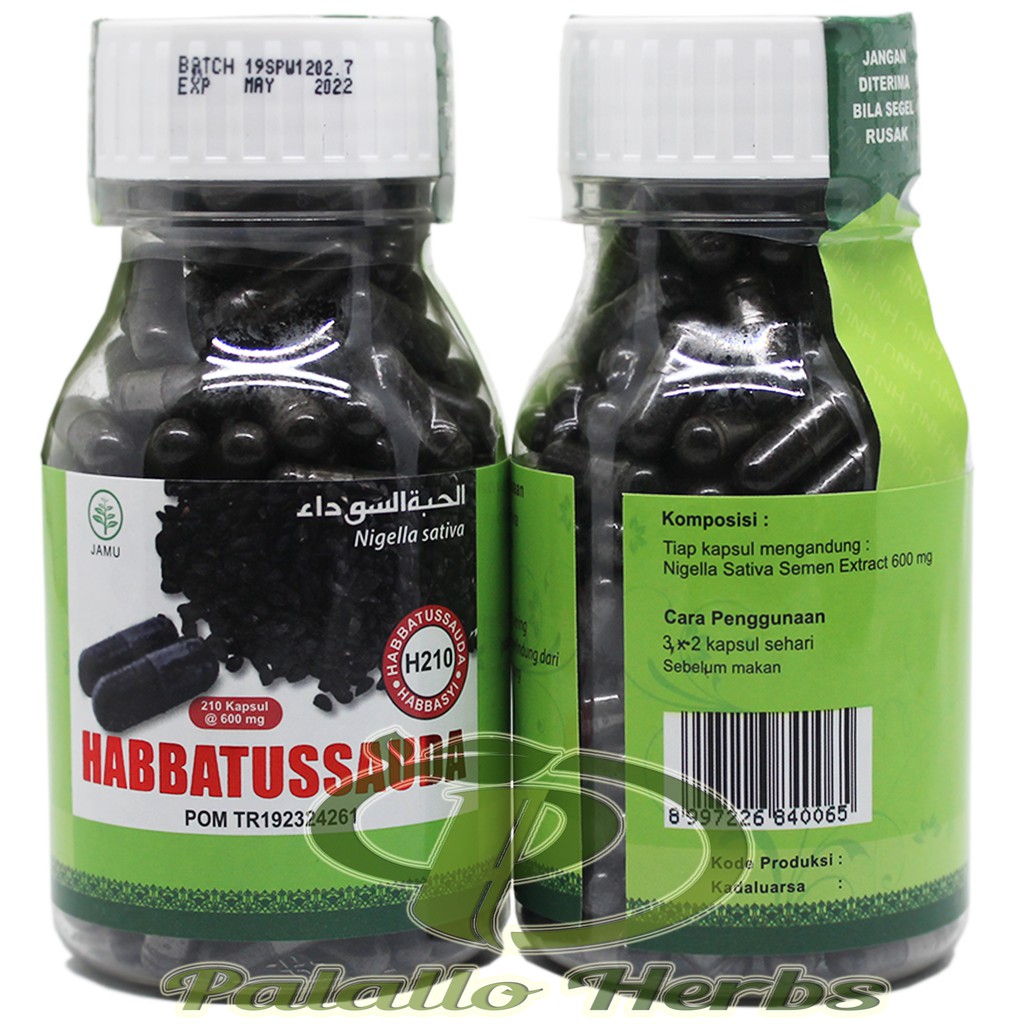 HABBATUSSAUDA Herbal Niaga Utama HNU 210 Kapsul | Habatusauda