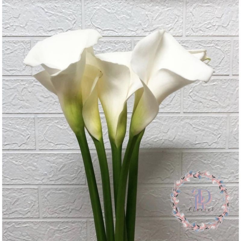 Bunga Cala Lily Putih (Bunga Potong Lokal)