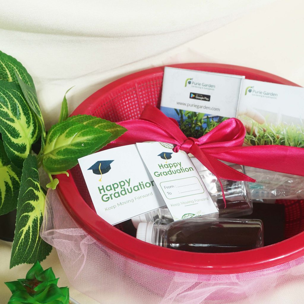 Hampers Berkebun Paket Lengkap Minikit PG KDR