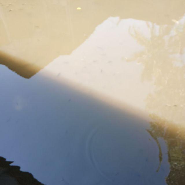 Kemeja Batik Lengan Panjang M L Xl Batik Hrb026 Kenongo   Bahan Halus