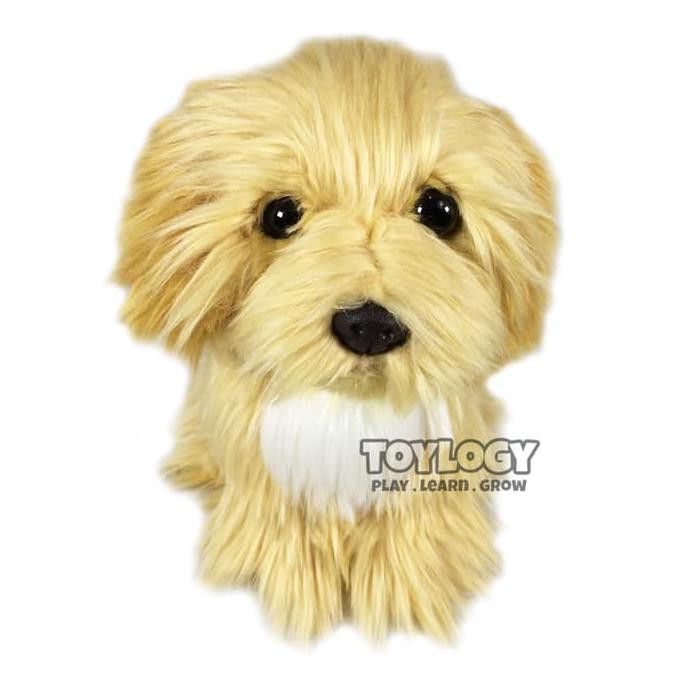 havanese stuffed animal