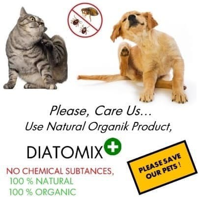 Diatomix Obat Pembasmi Kutu Kucing dan Anjing 25gr - Bedak Kutu