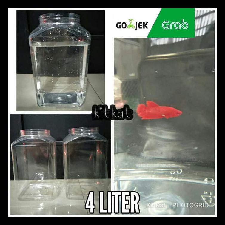 Toples Plastik Kotak Ikan Cupang 4Liter Kotak Termurah