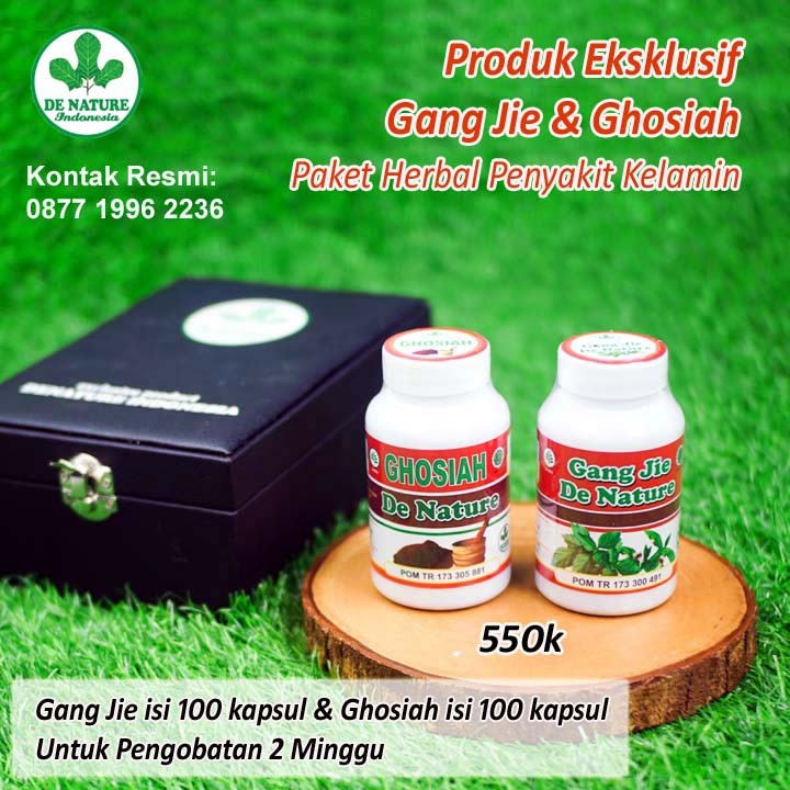 OBAT SIPILIS 2 MINGGU SPILIS GONORE KENCING NANAH INFEKSI SALURAN KEMIH RAJASINGA GANG JIE GHO SIAH 
