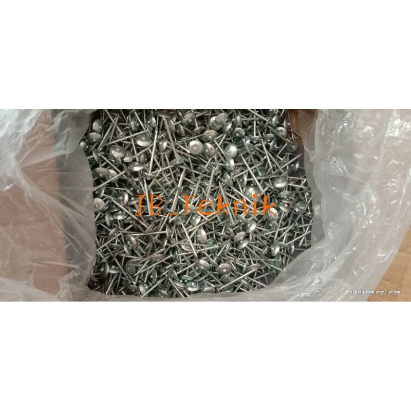 Paku Seng / Paku Payung