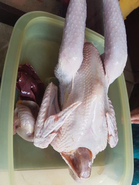

BAH Ayam Kampung Asli Segar 7-9 Ons Siap Konsumsi