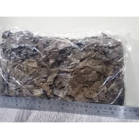 

Diskon's lebaran 100 GRAM DAUN KETAPANG LAUT / DAUN KETAPANG LAUT ORIGINAL G64G1 .!!