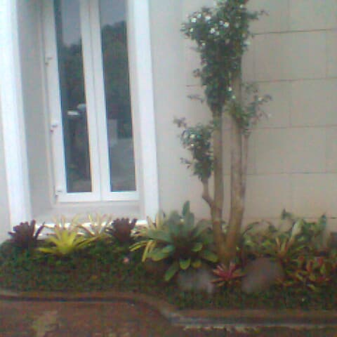 Paket Jasa Pembuatan Taman Murah - Jasa Taman Minimalis