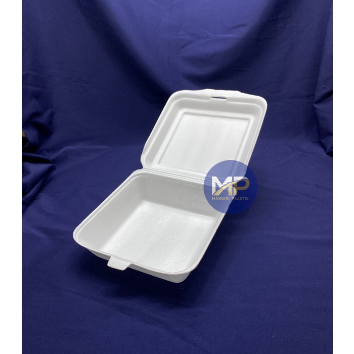 Sterofoam Kotak / Gabus nasi (100pcs)