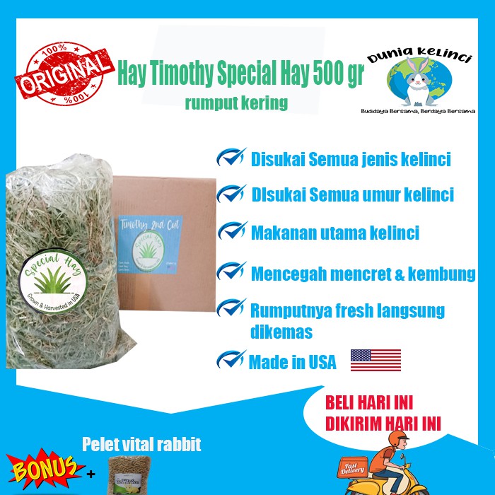 MAKANAN KELINCI HAY TIMOTHY SPECIAL HAY 500 GR GUINEA PIG MARMUT CHINCHILLA RUMPUT KERING JERAMI