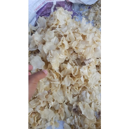 

opak gadung