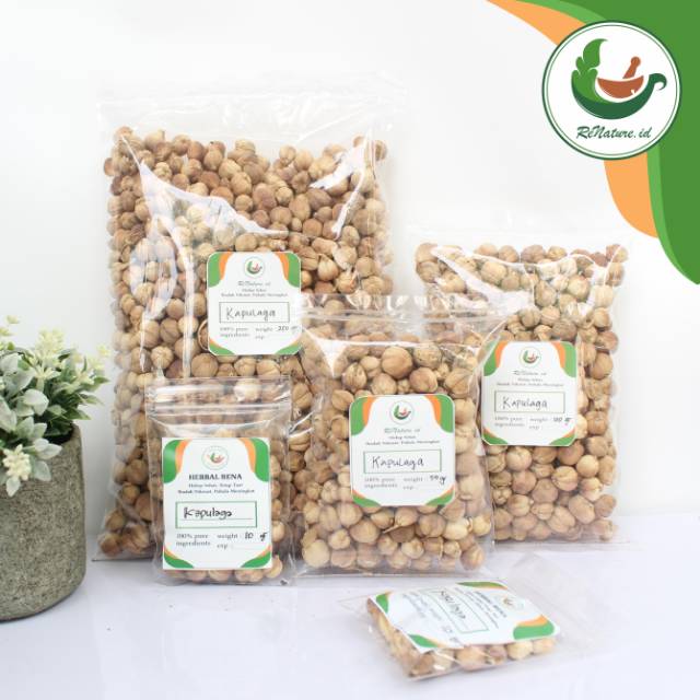 

Renatureid - KAPULAGA JAWA Herbal Rena / KAPOL / KAPOLOGO / REMPAH JSR / KAPULAGA KERING Renature