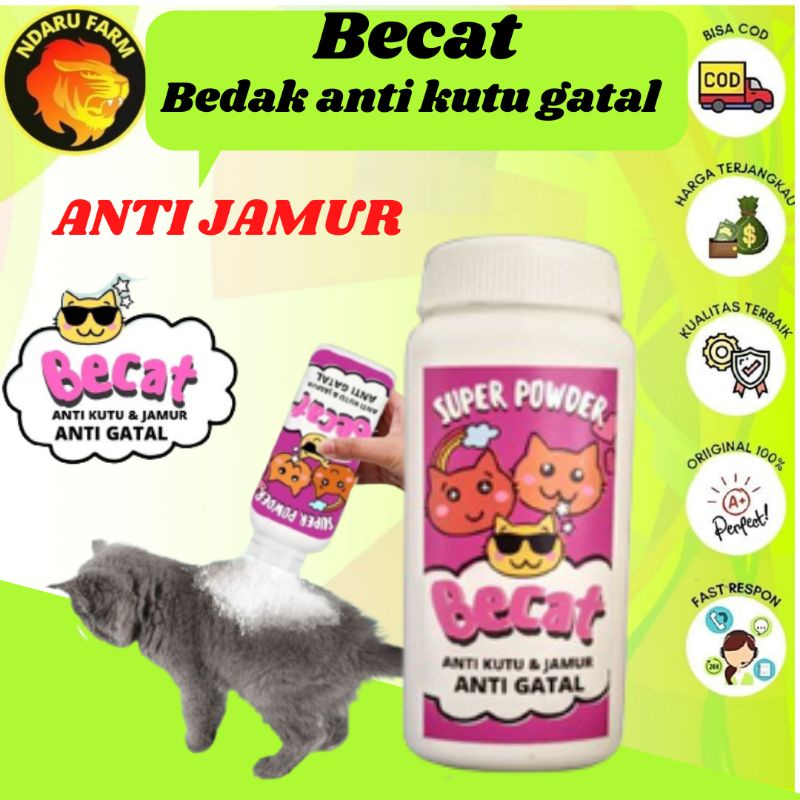Bedak Kucing Anti Kutu dan Jamur Gatal NDARUFRAM