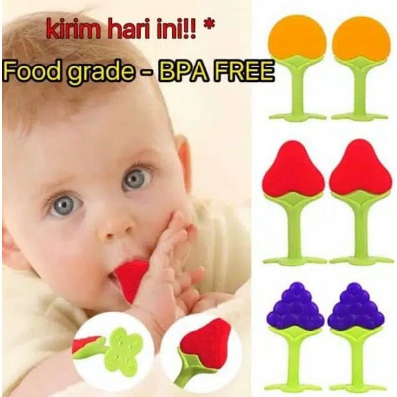 Gigitan bayi buah silikon Food Grade BPA Free