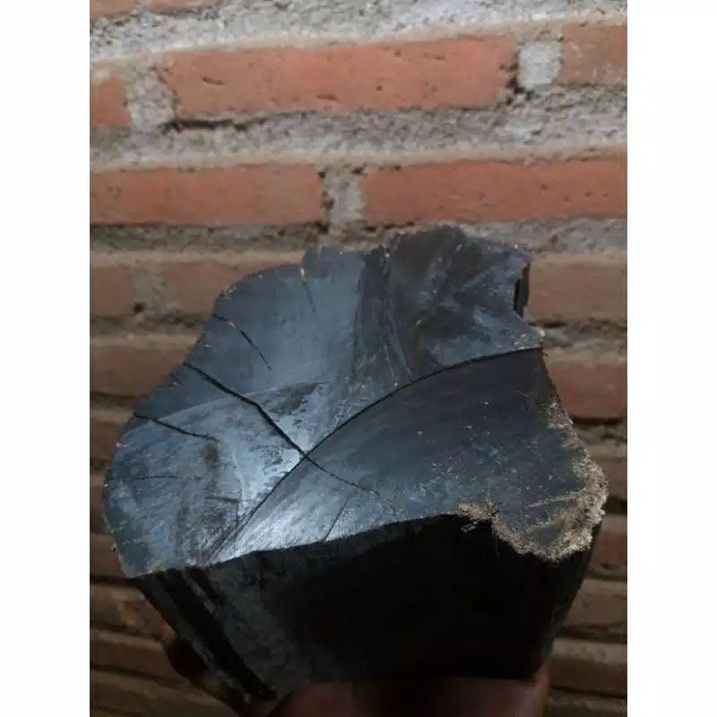 Bahan Mentah Kayu Galih Kelor Asli Tenggelam