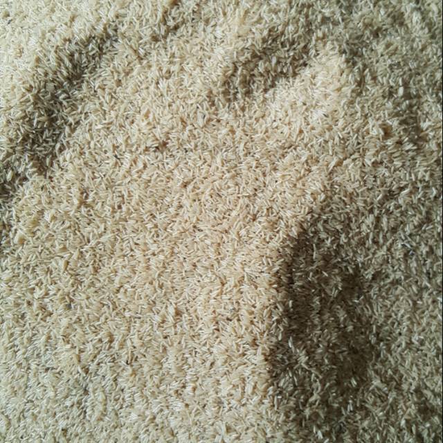 Telur Jangkrik Alam 1kg