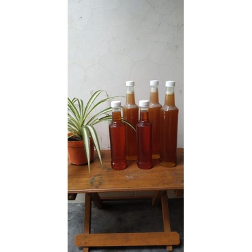 MADU MURNI 100% TANPA CAMPURAN APAPUN 650gr NEKTAR BUNGA MANGGA.