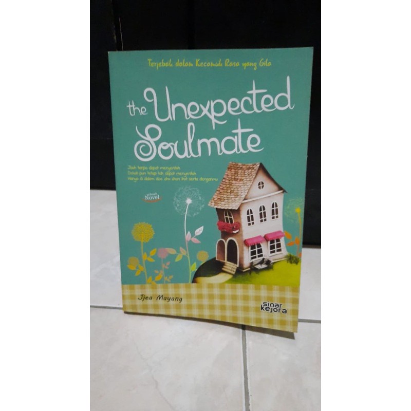 The Unexpected Soulmate Preloved Original