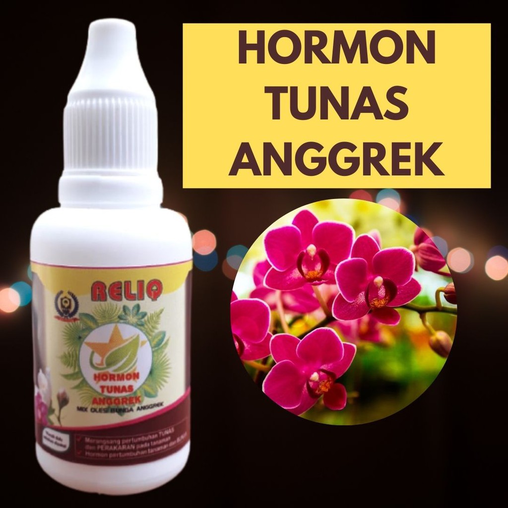 Hormon Tunas Anggrek, Pupuk Penumbuh Tunas Bunga Anggrek RELIQ