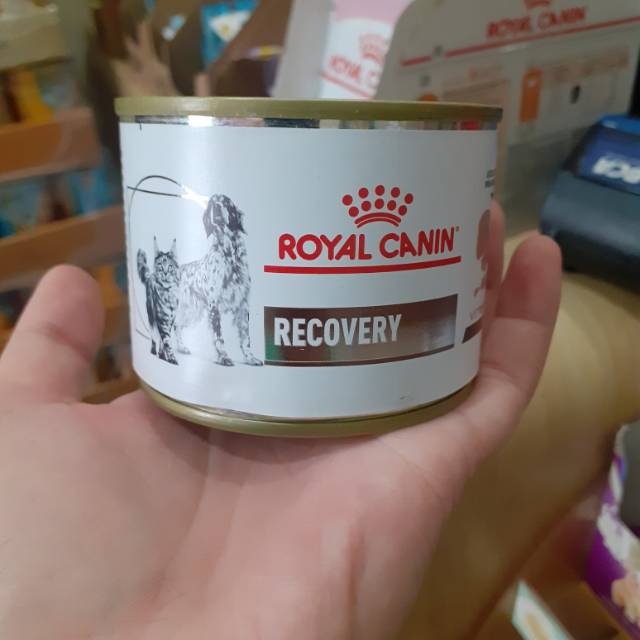 Recovery ROYAL CANIN
