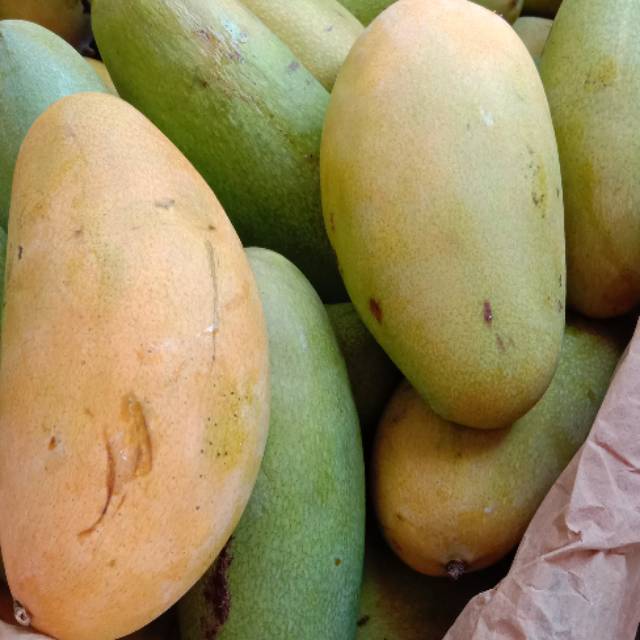 

mangga golek