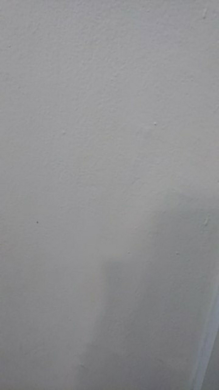 Tey-17 Batik Wanita Asj Sa Hrb026 Kenongo Kemeja Tosca Pendek