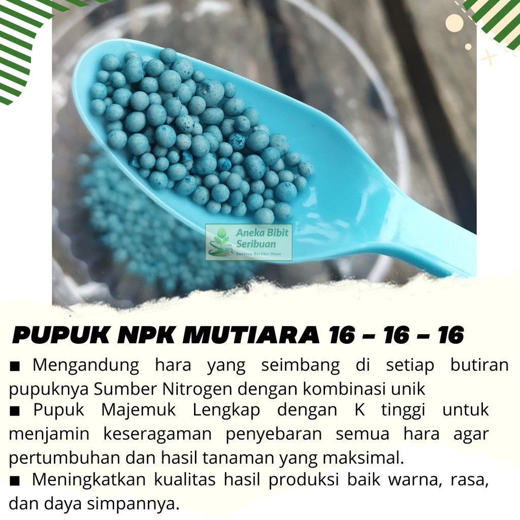 Pupuk NPK Mutiara 16-16-16