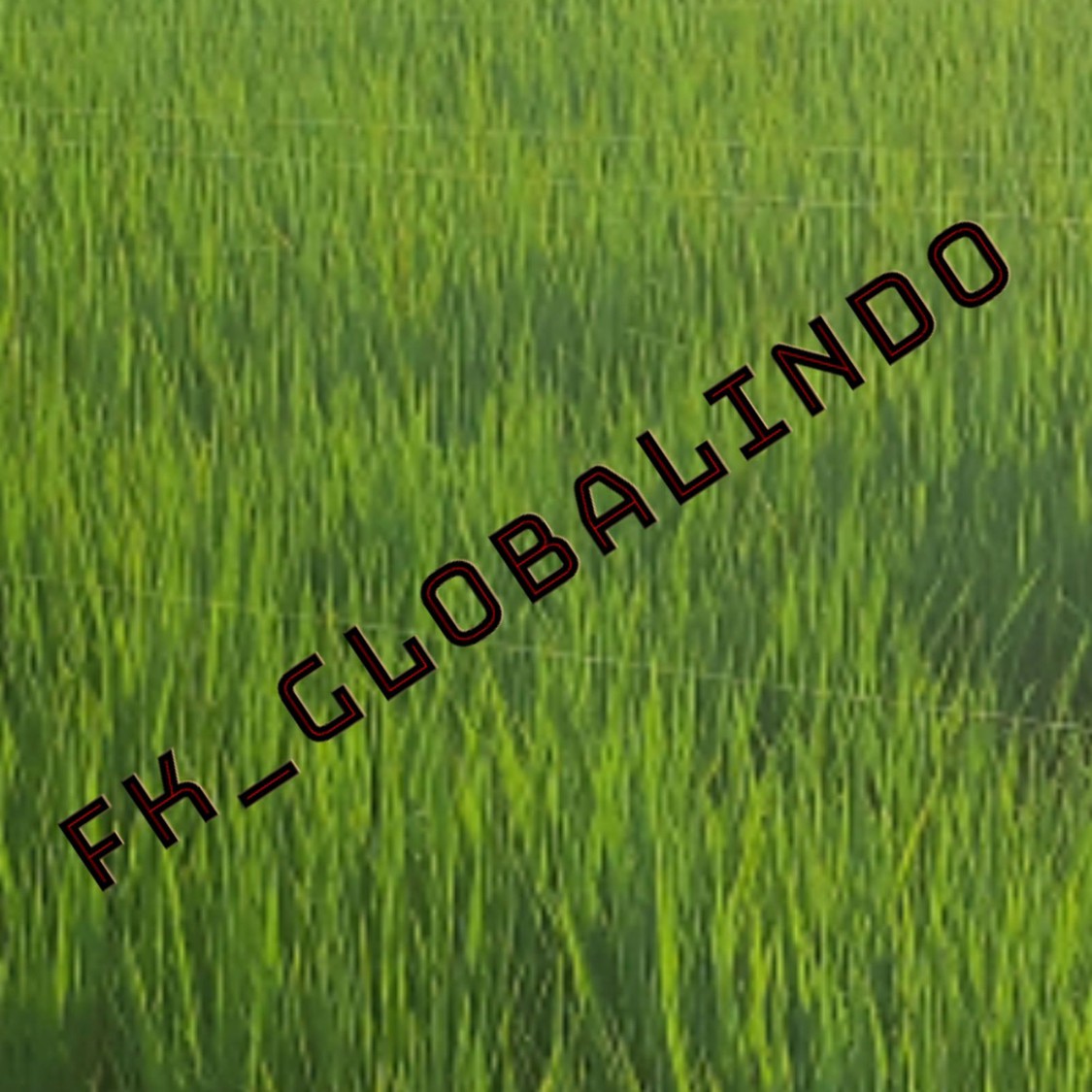 fk_globalindo