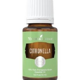 Essential Oil Yl Citronella 15 Ml Antogondrong12