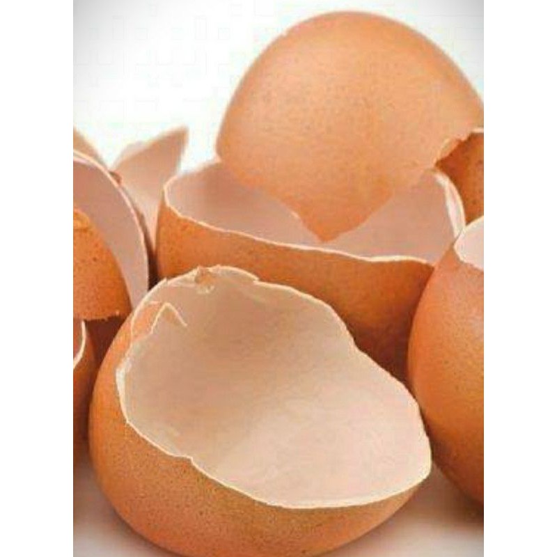 

Tepung cangkang telur1kg(kasar)